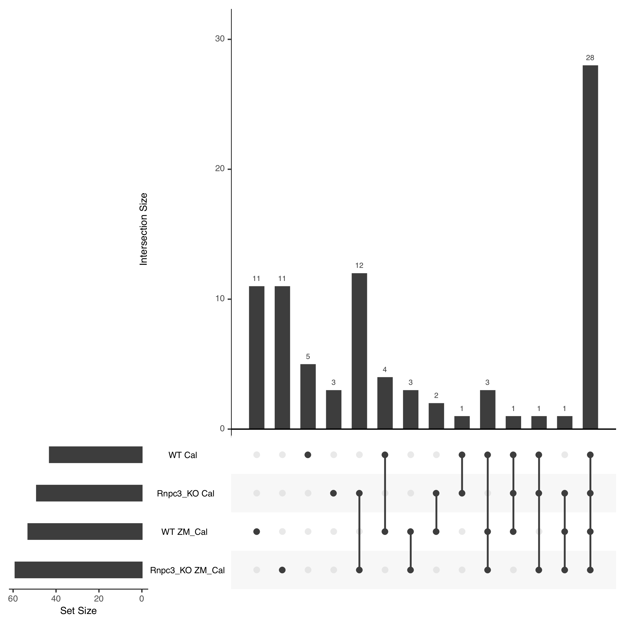 Gene overlaps found between each combination of genotype and line using the thresholds defined in the text. Our procedure mostly finds genes with IR like profiles across all groups (28 shared between all four) or that is unique to a single group, since we do not consider looking at differential IR and run our thresholding separately for each group of replicates. The rnpc3 knockout lines share the largest overlap in results.