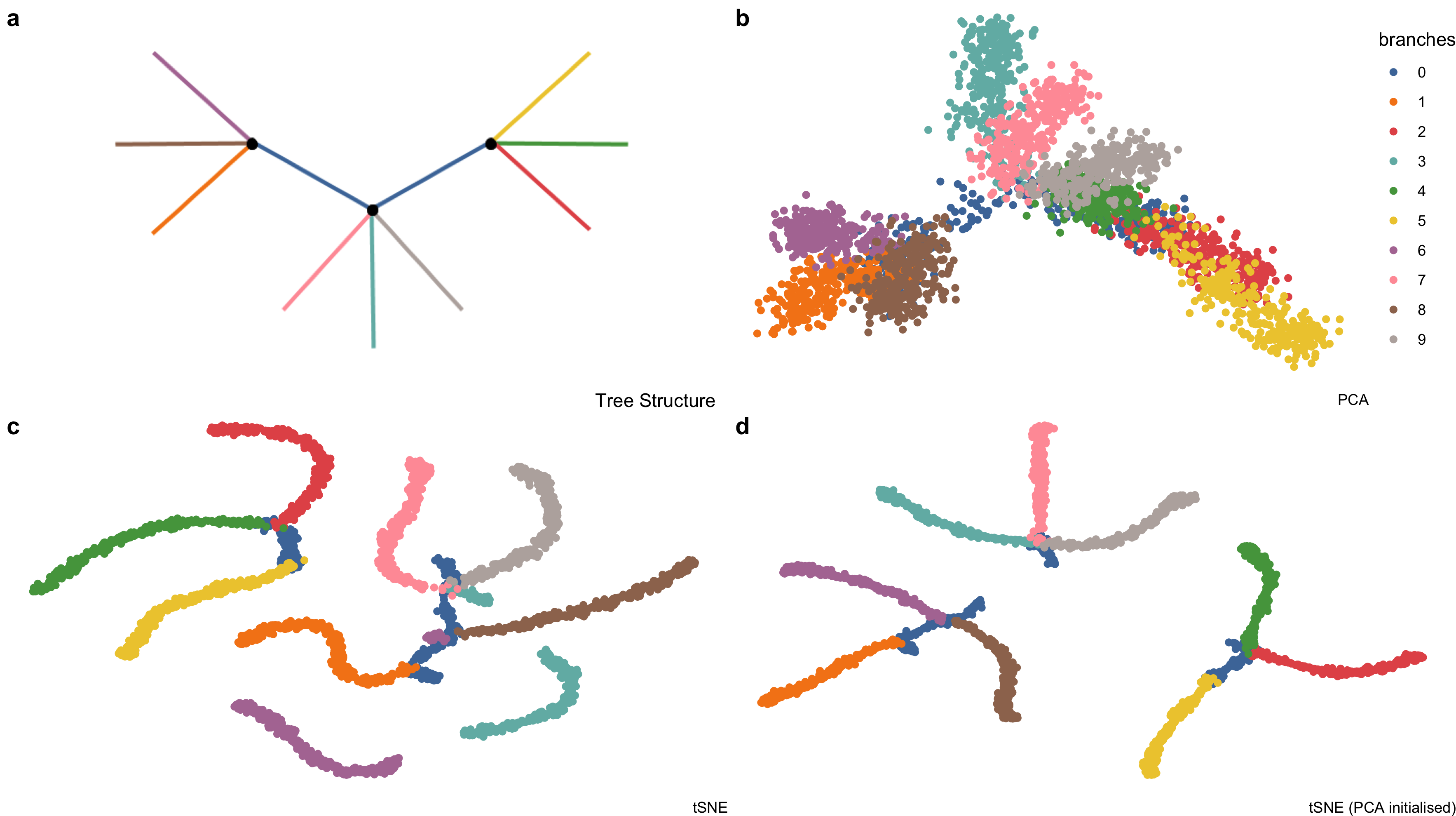 Example high-dimensional tree shaped data, \(n = 3000\) and \(p = 100\). (a) The true data lies on 2-\(d\) tree consisting of ten branches. This data is available in the phateR package and is simulated via diffusion-limited aggregation (a random walk along the branches of the tree) with Gaussian noise added (Moon et al. 2019). (b) The first two principal components, which form the initial projection for the tour, note that the backbone of the tree is obscured by this view. (c) The default t-SNE view breaks the global structure of the tree. (d) Altering t-SNE using the first two principal components as the starting coordinates for the embedding, results in clustering the tree at its branching points.