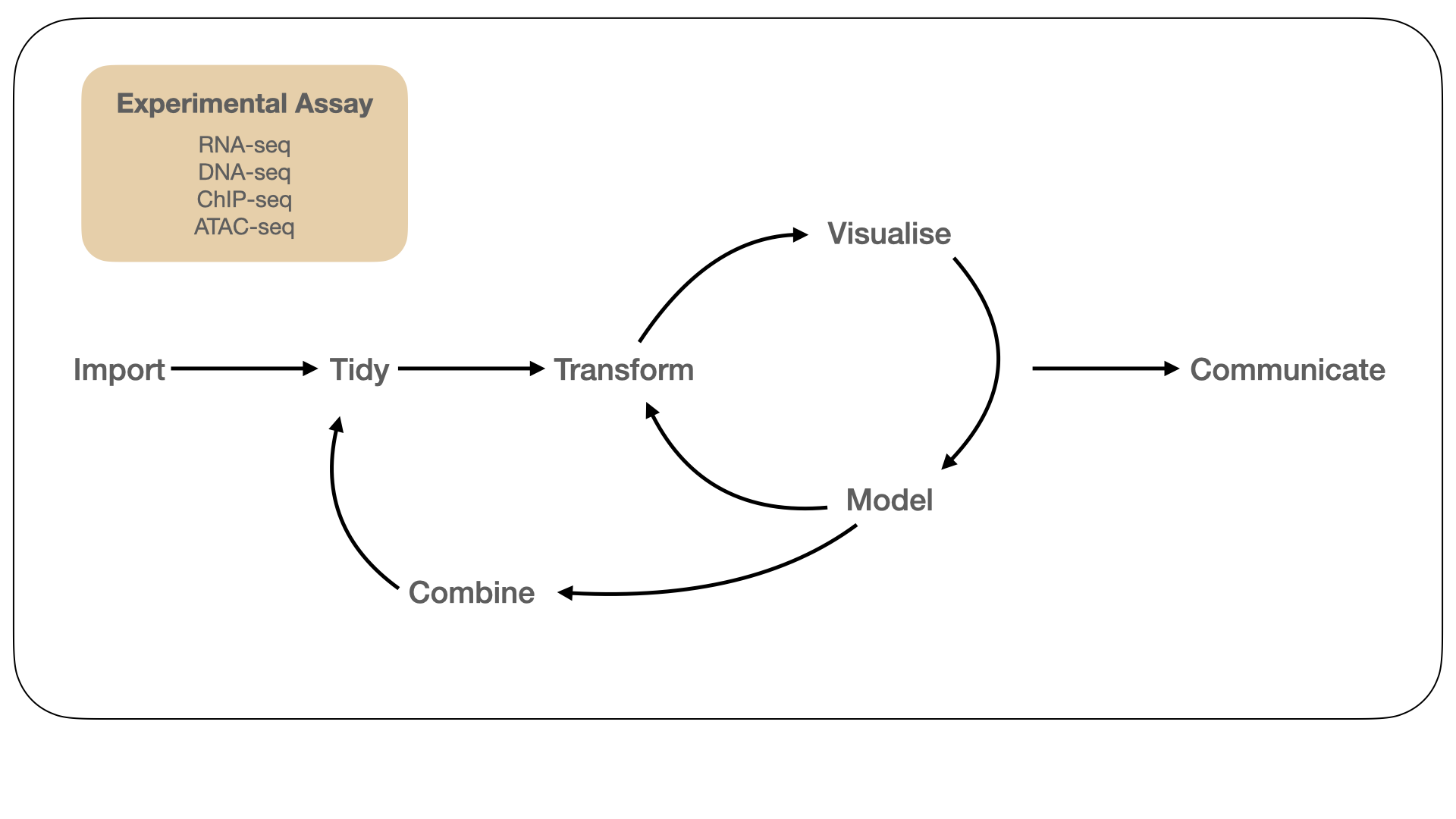 An idealised model of the biological data science workflow (adapted from Grolemund and Wickham (2017)). We begin with data generated from one or more biological assay(s) corresponding to a research hypothesis or question. Our primary focus is on data generated from bulk assays that measure gene expression (RNA-seq), genetic variation (DNA-seq), and gene regulation (ChIP-seq, ATAC-seq). Throughout this process, we need computational tools to gain insight into the biology under study and communicate our analysis in a reproducible manner.