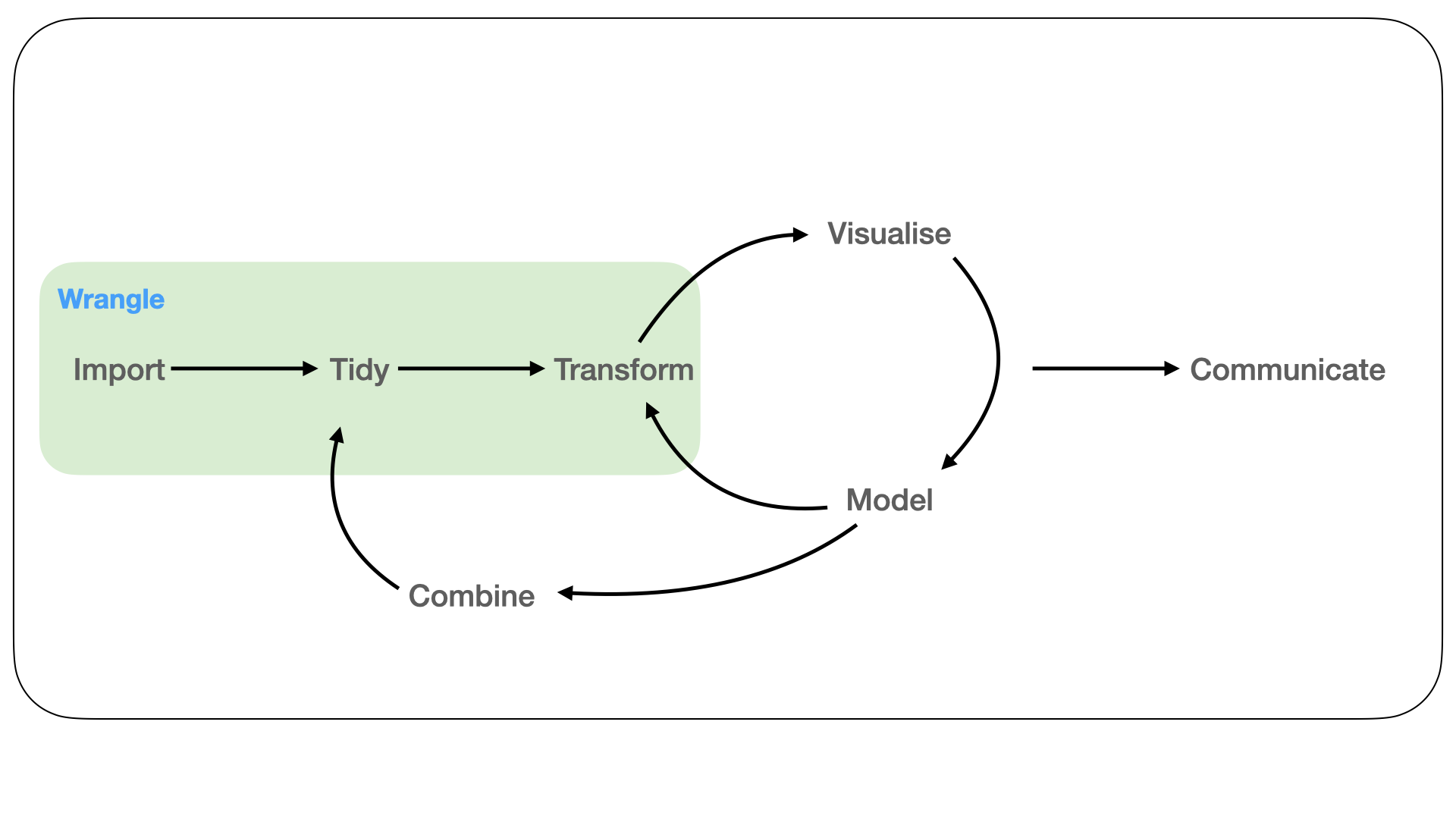 In the wrangle phase of the workflow, data from an assay is imported into a programming language. It is then tidied into a new representation that should capture the biological semantics of the measurements. Following this, the representation can be transformed to generate new summaries.